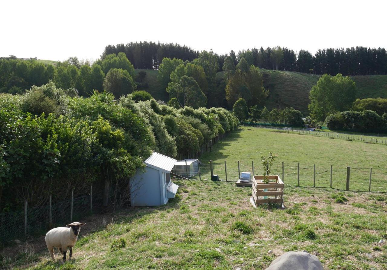 Aston Road Villa Bed & Breakfast Waikanae Exteriér fotografie